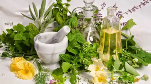 Herbal Products — Nature’s Secret to Vitality and Inner Balance