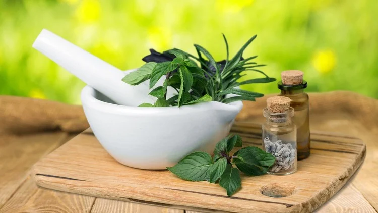 Nature’s Remedy: The Secret World of Herbal Wonders